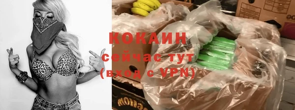 ПСИЛОЦИБИНОВЫЕ ГРИБЫ Богданович