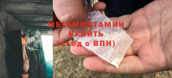 ПСИЛОЦИБИНОВЫЕ ГРИБЫ Богданович
