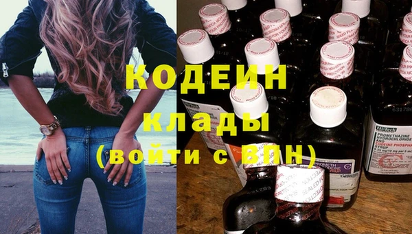 ПСИЛОЦИБИНОВЫЕ ГРИБЫ Богданович
