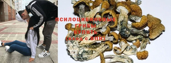 a pvp Богородск