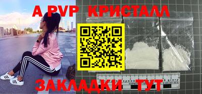 спиды Кимры