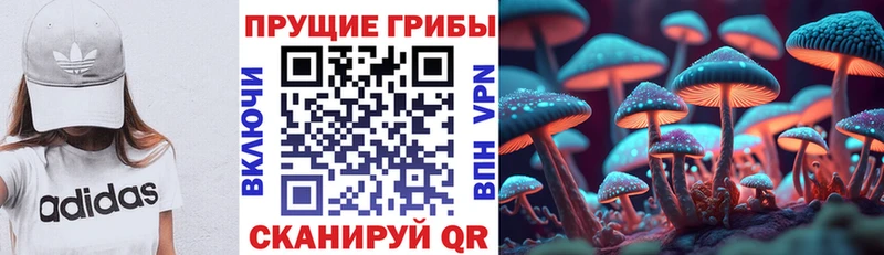 Псилоцибиновые грибы Magic Shrooms  Бутурлиновка 