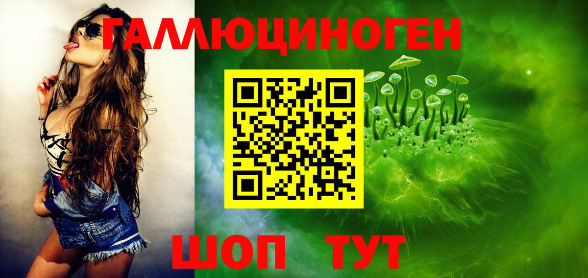 Псилоцибиновые грибы Psilocybine cubensis Бутурлиновка