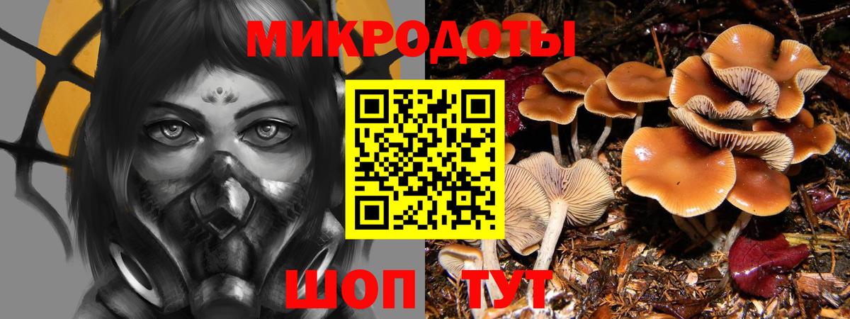 Бутурлиновка  Галлюциногенные грибы GOLDEN TEACHER  цены наркотик  Псилоцибиновые грибы Psilocybine cubensis  Вход с VPN 